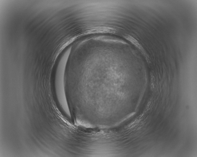 X0000056330834200509161707