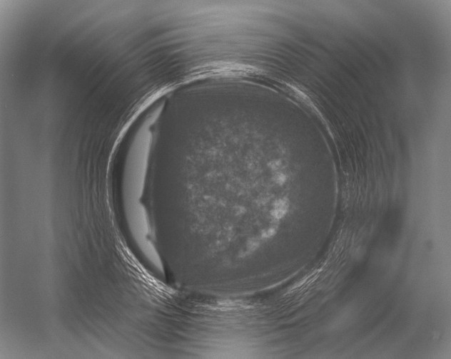 X0000056330835200509161707