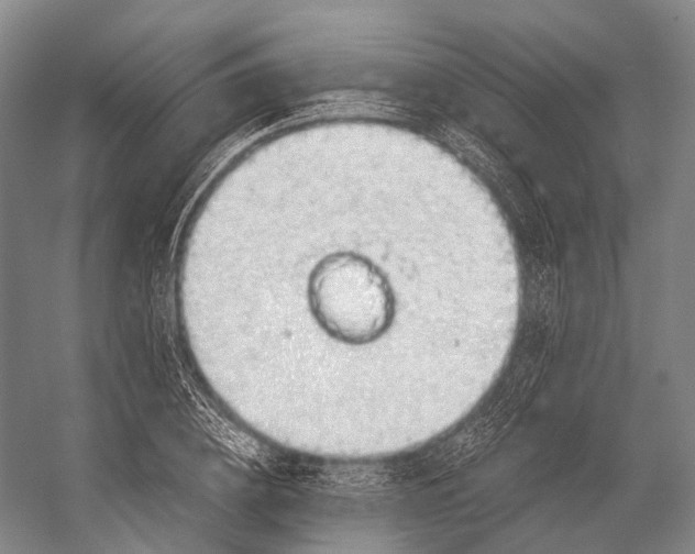 X0000056330836200509161707