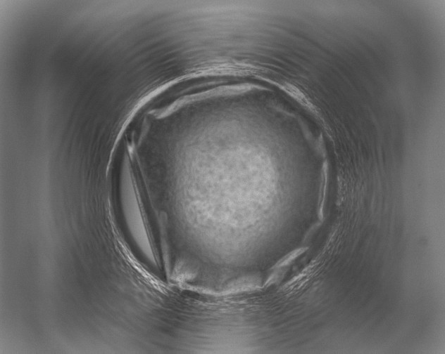 X0000056330838200509161707