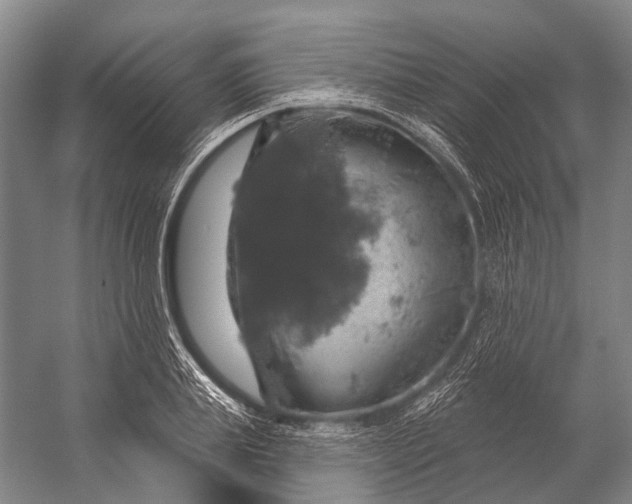 X0000056330839200509161707