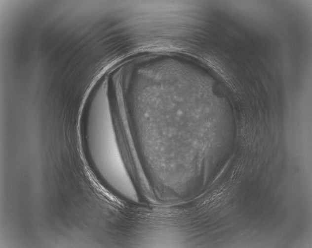 X0000056330840200509161707