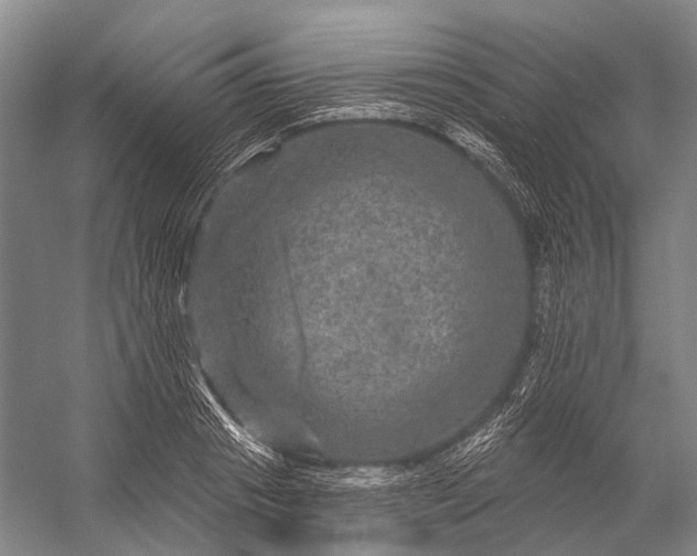 X0000056330841200509161707