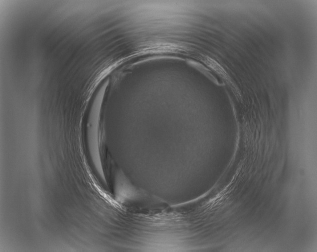 X0000056330842200509161707