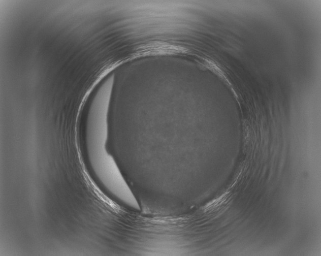 X0000056330843200509161707