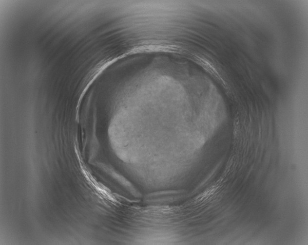 X0000056330844200509161707