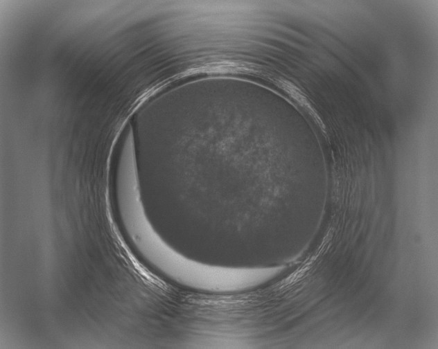 X0000056330845200509161707