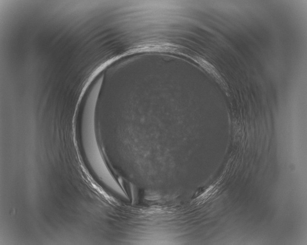 X0000056330846200509161707