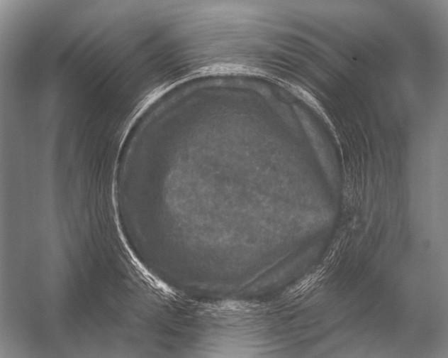 X0000056330847200509161707