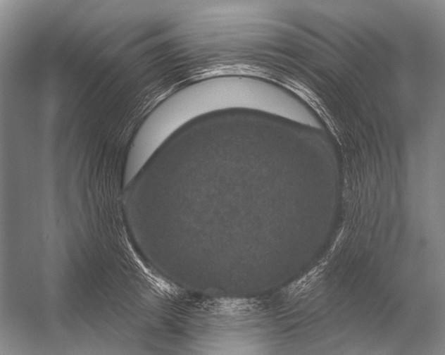 X0000056330849200509161707