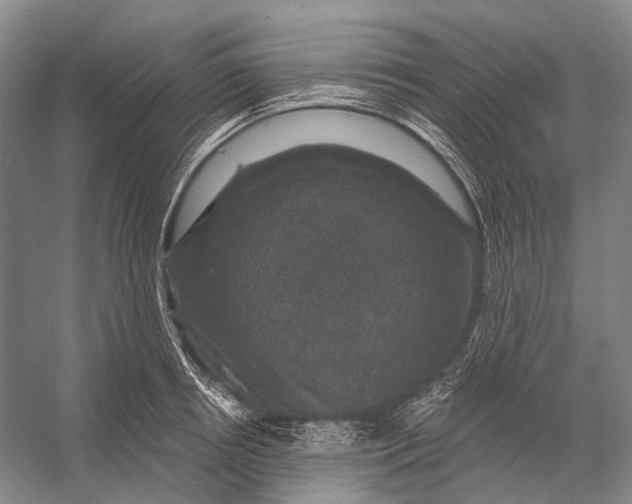 X0000056330850200509161707