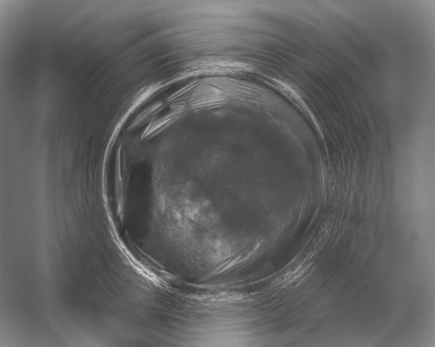 X0000056330851200509161707