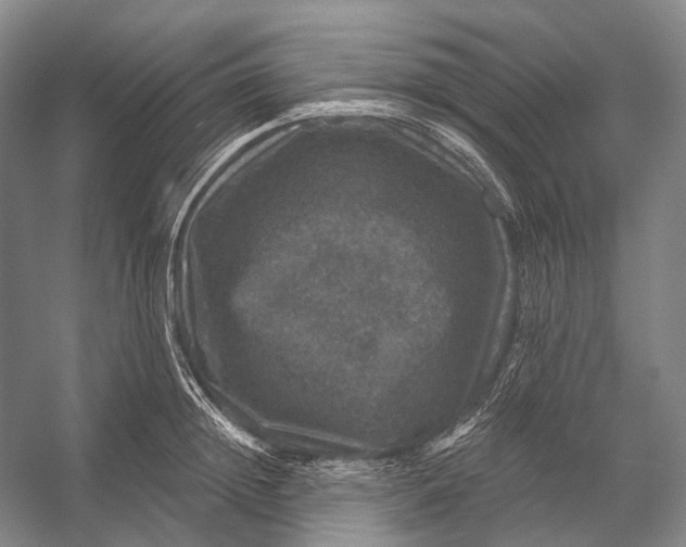 X0000056330852200509161707