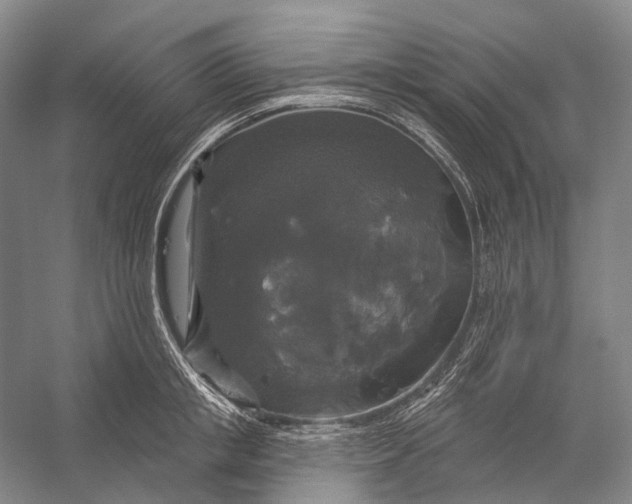 X0000056330853200509161707