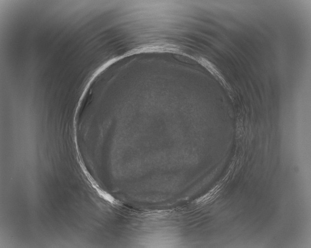 X0000056330854200509161707