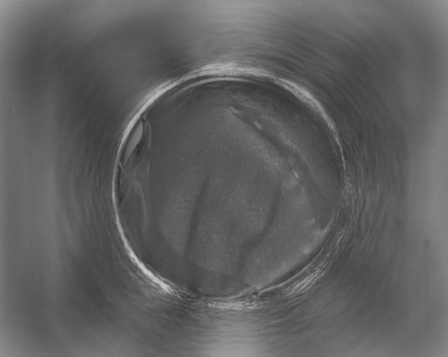 X0000056330855200509161707