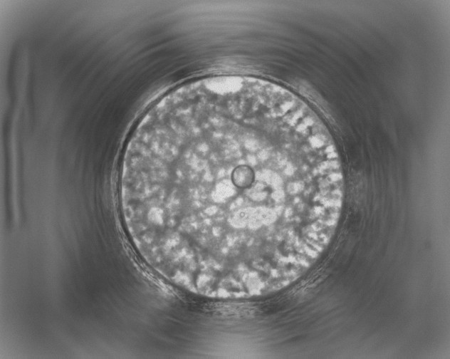 X0000056330856200509161707