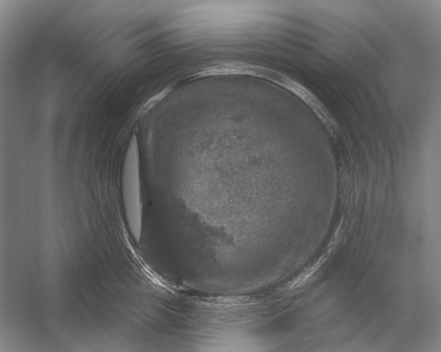 X0000056330857200509161707