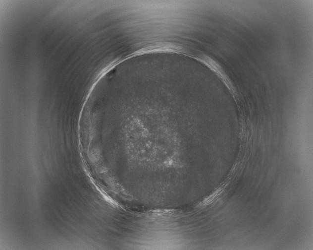 X0000056330858200509161707