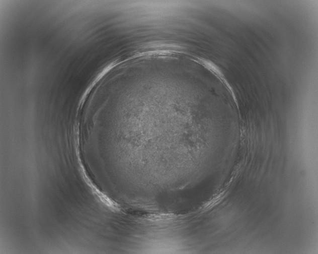 X0000056330859200509161707