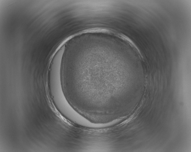 X0000056330860200509161707