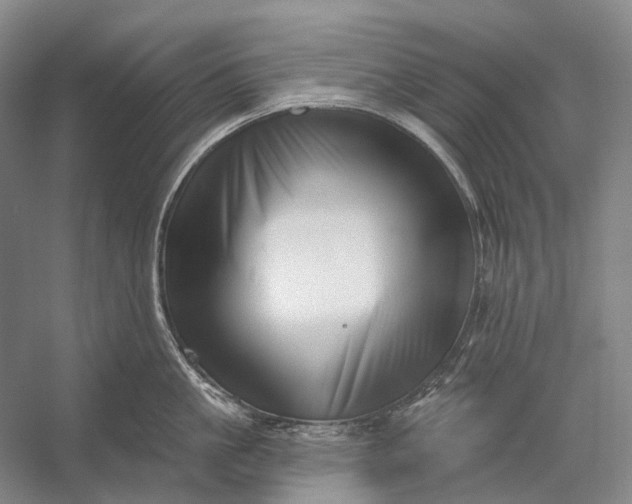 X0000056330861200509161707