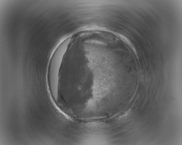 X0000056330863200509161708