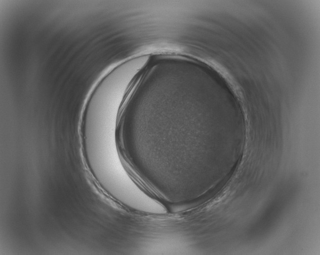 X0000056330864200509161708