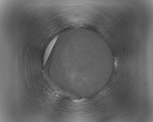 X0000056330867200509161707