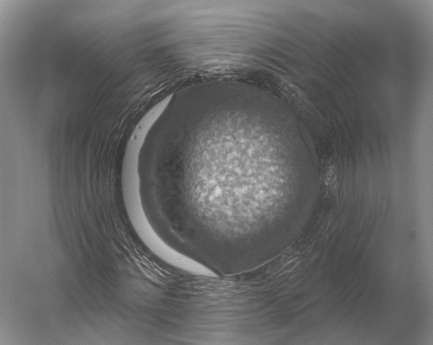 X0000056330868200509161707