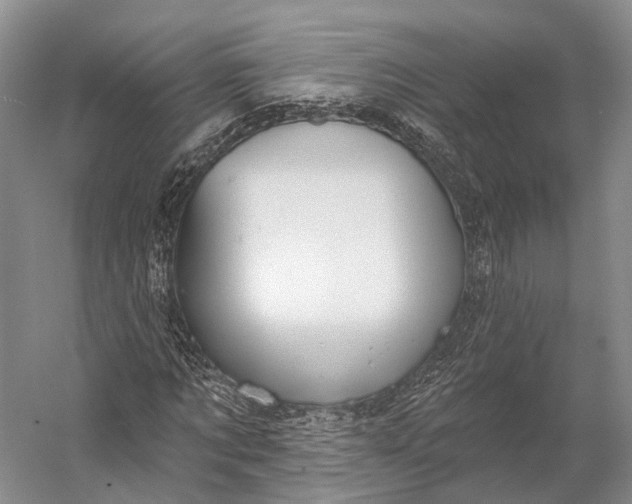 X0000056330869200509161707