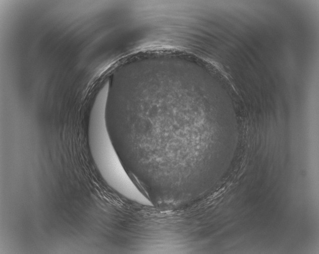 X0000056330871200509161707