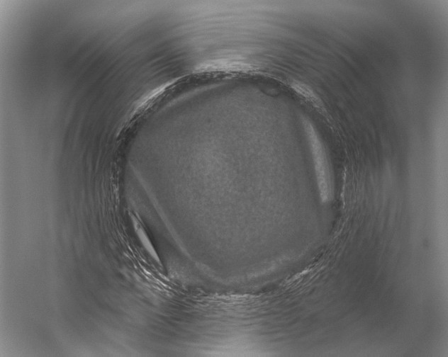 X0000056330872200509161707