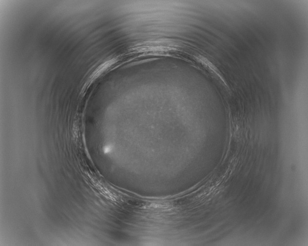 X0000056330874200509161707