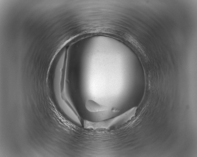 X0000056330876200509161707