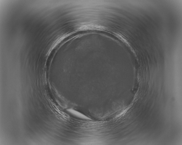 X0000056330877200509161707