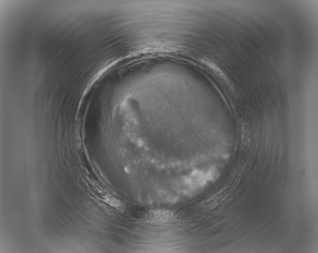 X0000056330878200509161706