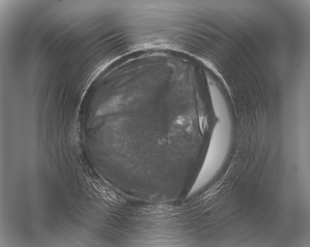 X0000056330879200509161706