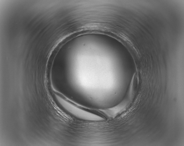 X0000056330880200509161706