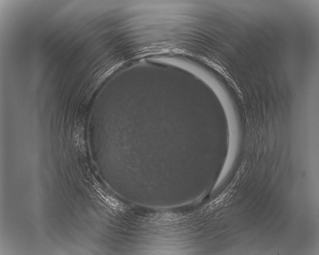 X0000056330881200509161706