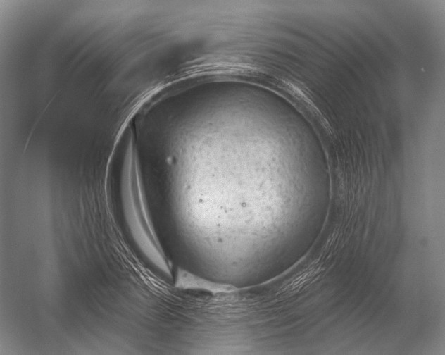 X0000056330883200509161706