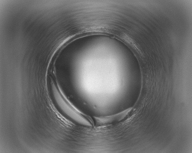 X0000056330884200509161706