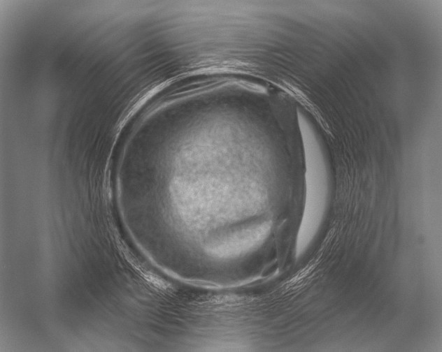 X0000056330885200509161706