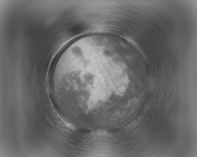 X0000056330886200509161706