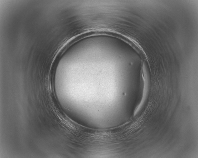 X0000056330887200509161706