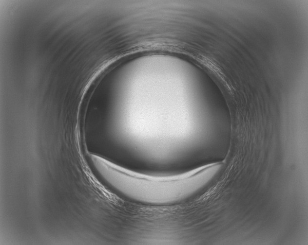 X0000056330888200509161706