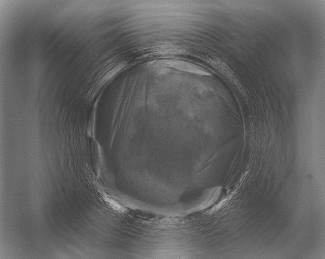 X0000056330889200509161706