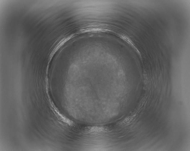 X0000056330890200509161706