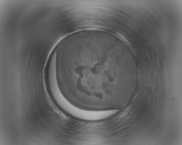 X0000056330891200509161706