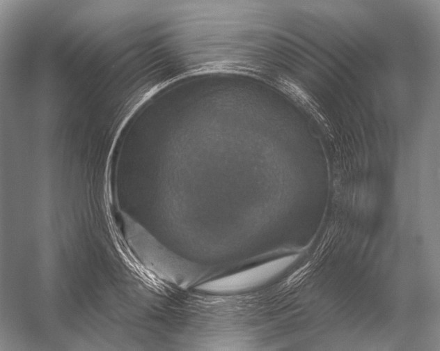 X0000056330892200509161706